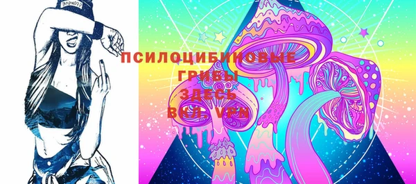 ГАЛЛЮЦИНОГЕННЫЕ ГРИБЫ Богородицк